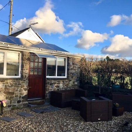 Daffodil House Annex, Cynghordy, West Wales Llandovery Exterior foto